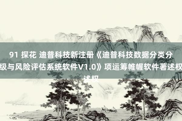 91 探花 迪普科技新注册《迪普科技数据分类分级与风险评估系统软件V1.0》项运筹帷幄软件著述权
