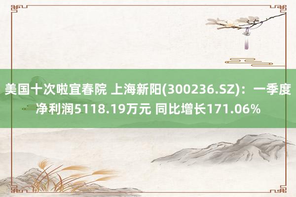 美国十次啦宜春院 上海新阳(300236.SZ)：一季度净利润5118.19万元 同比增长171.06%