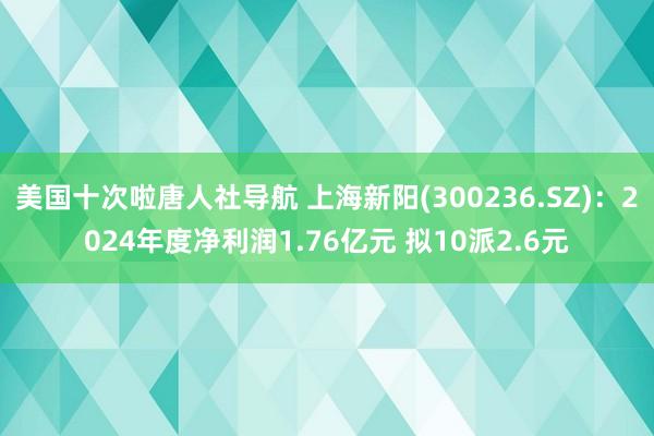 美国十次啦唐人社导航 上海新阳(300236.SZ)：2024年度净利润1.76亿元 拟10派2.6元