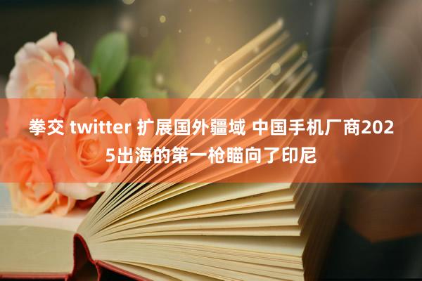 拳交 twitter 扩展国外疆域 中国手机厂商2025出海的第一枪瞄向了印尼