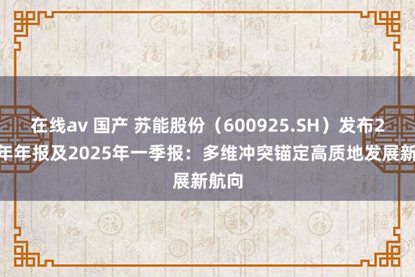 在线av 国产 苏能股份（600925.SH）发布2024年年报及2025年一季报：多维冲突锚定高质地发展新航向